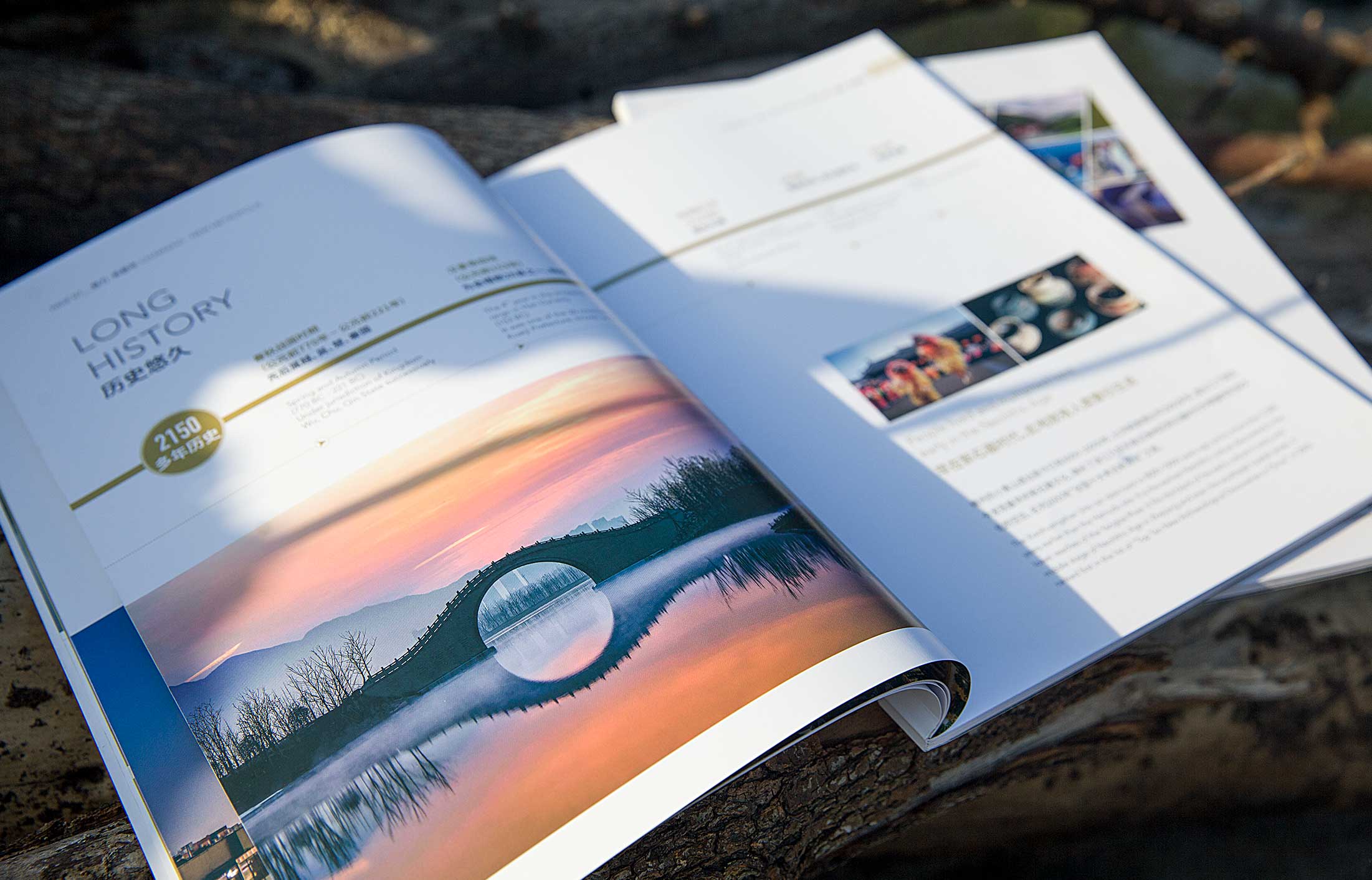 畫冊設計視覺空間漢字的分配