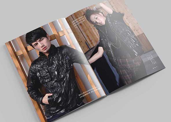 畫(huà)冊(cè)設(shè)計(jì)的色彩非常有作用