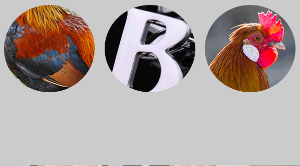 Bitreserve基金會品牌設計