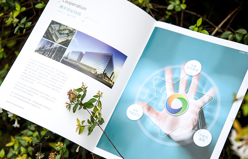 1596259040993196.jpg 1.jpg