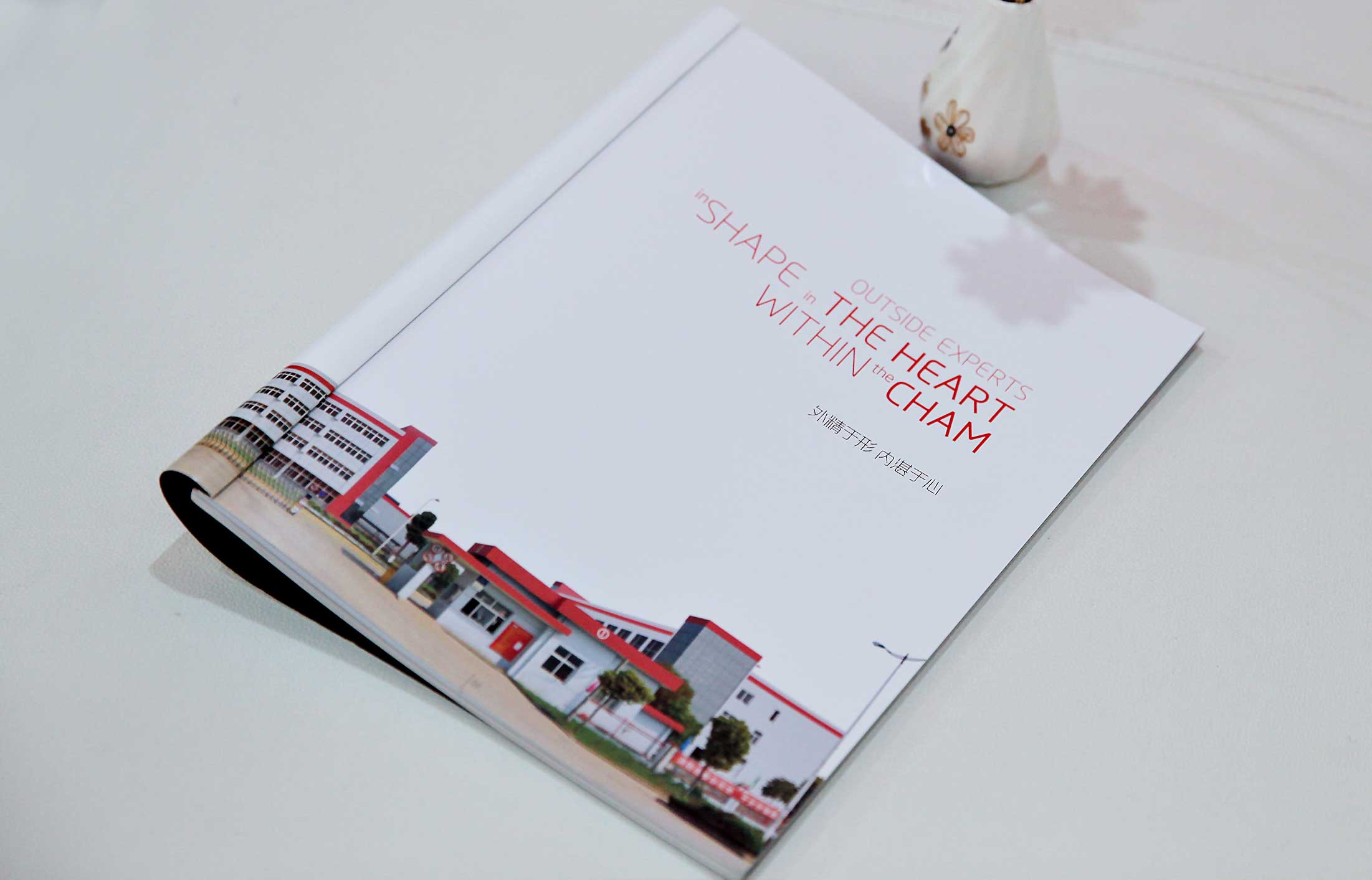 1596684223541890.jpg 2.jpg