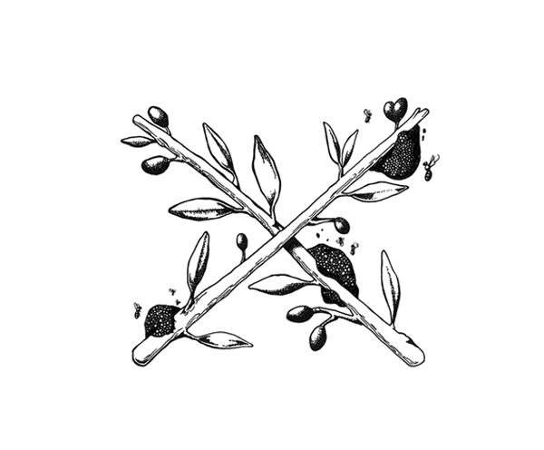 Helleo天然肥皂系列品牌包裝設(shè)計(jì),六個(gè)肥皂,六個(gè)故事