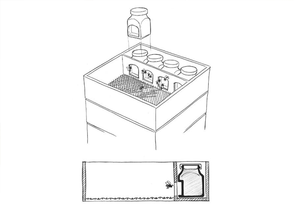見(jiàn)過(guò)喝蜂蜜的，見(jiàn)過(guò)舉著蜂巢喝蜂蜜的嗎？｜奇特蜂蜜包裝設(shè)計(jì)