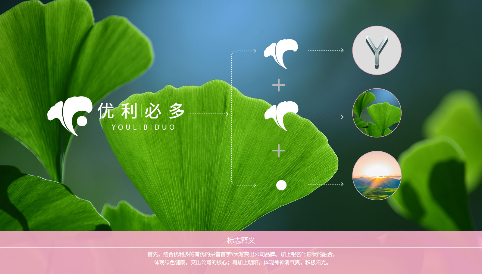 1562672851492596.jpg 金康醫藥品牌策劃設計一次性通過